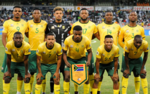 Đội tuyển Nam Phi